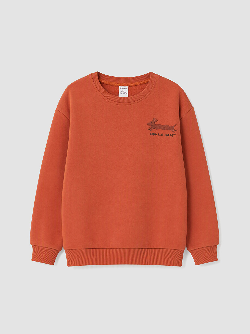 Kahverengi Nakışlı Erkek Çocuk Kalın Sweatshirt