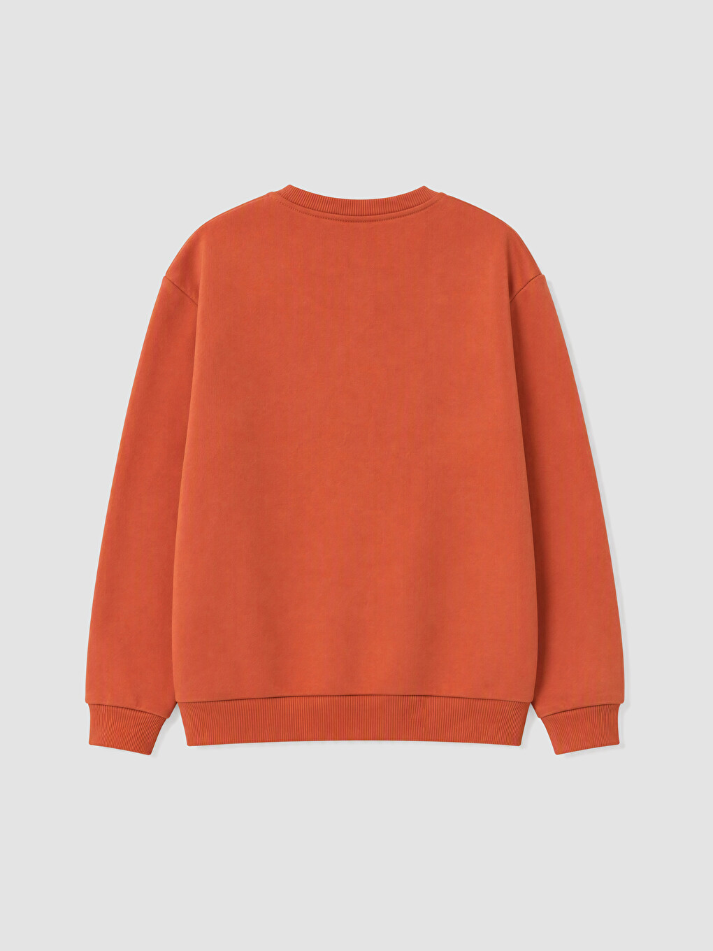 Kahverengi Nakışlı Erkek Çocuk Kalın Sweatshirt-2