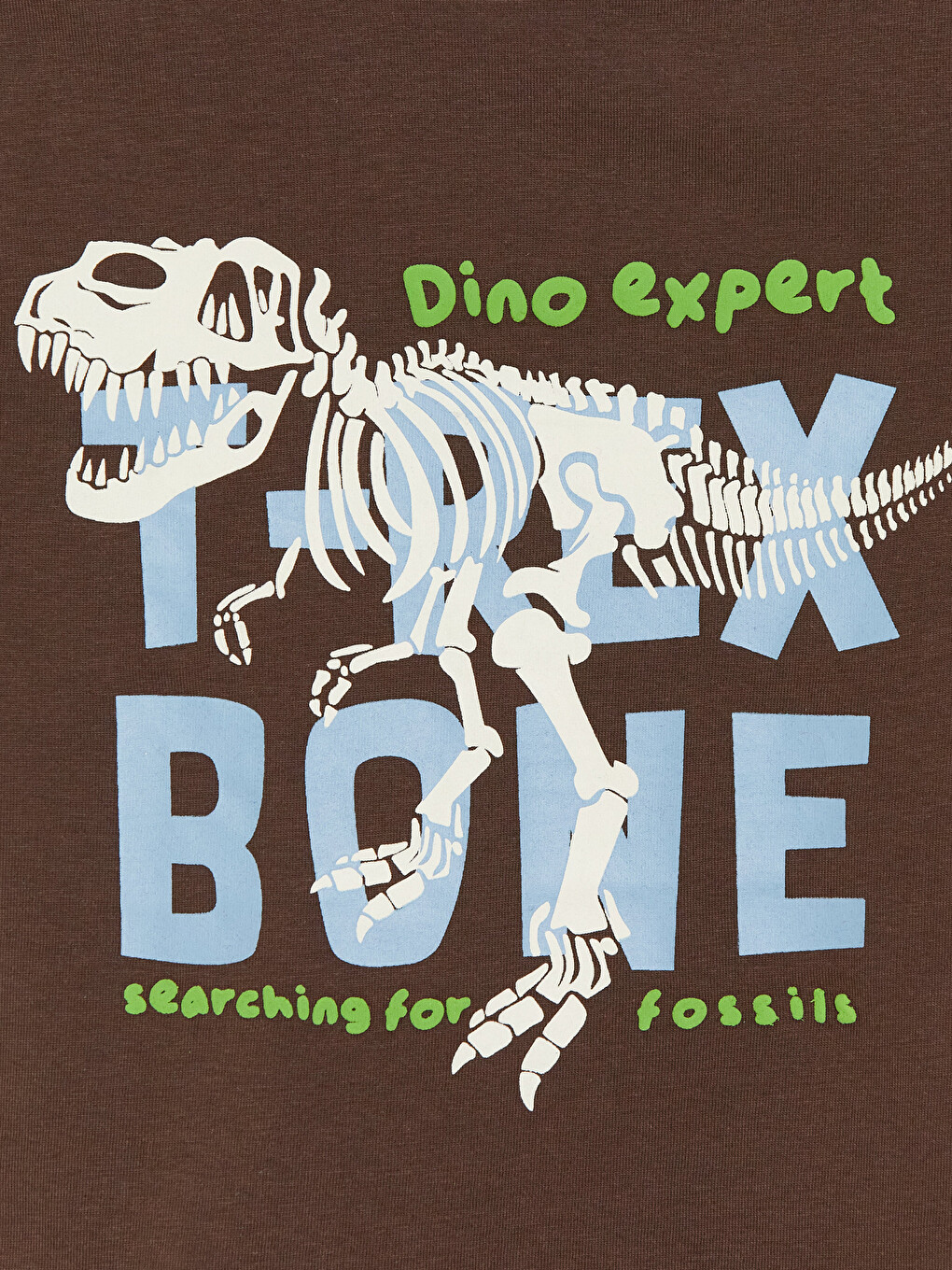 Dinosaur Printed Boys' T-shirt-1