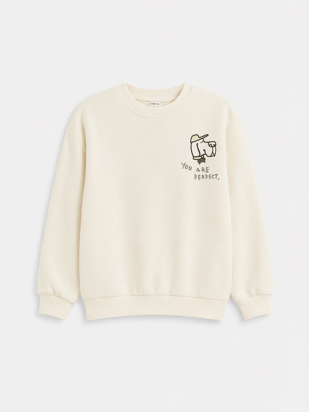 Bej 2'li Baskılı Erkek Çocuk Kalın Sweatshirt-1