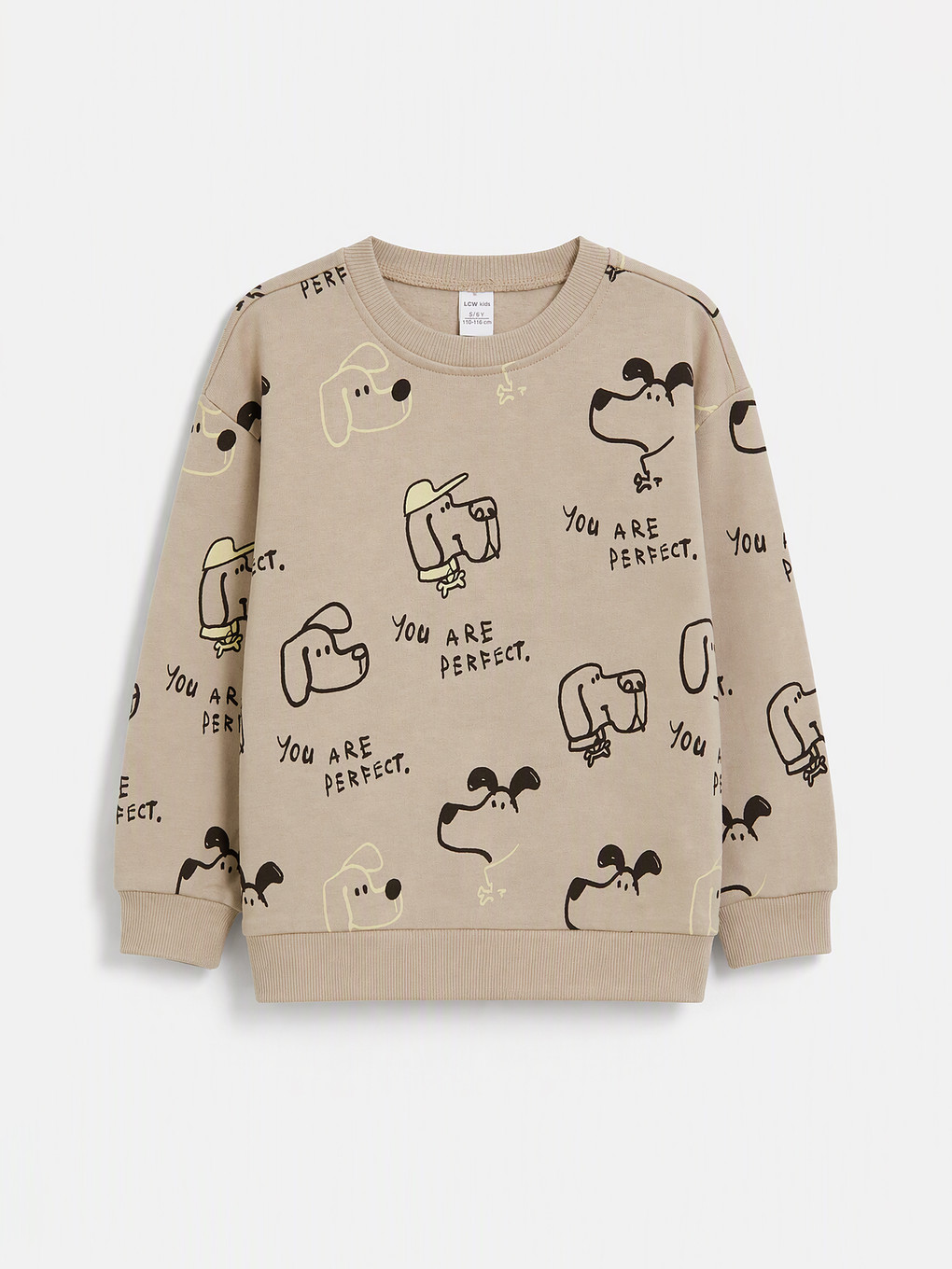 Bej 2'li Baskılı Erkek Çocuk Kalın Sweatshirt-2