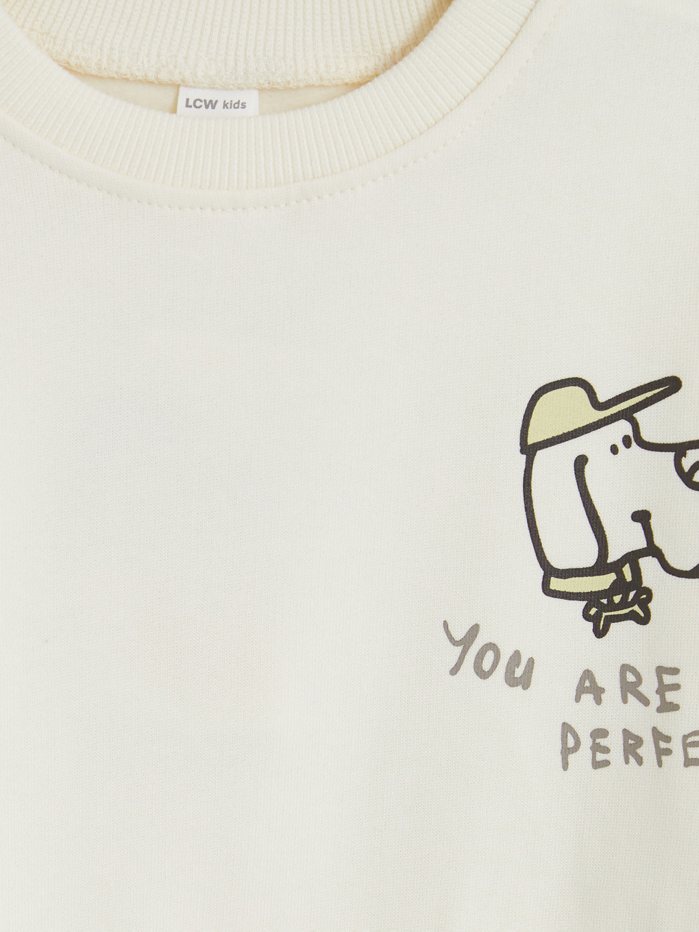Bej 2'li Baskılı Erkek Çocuk Kalın Sweatshirt-6