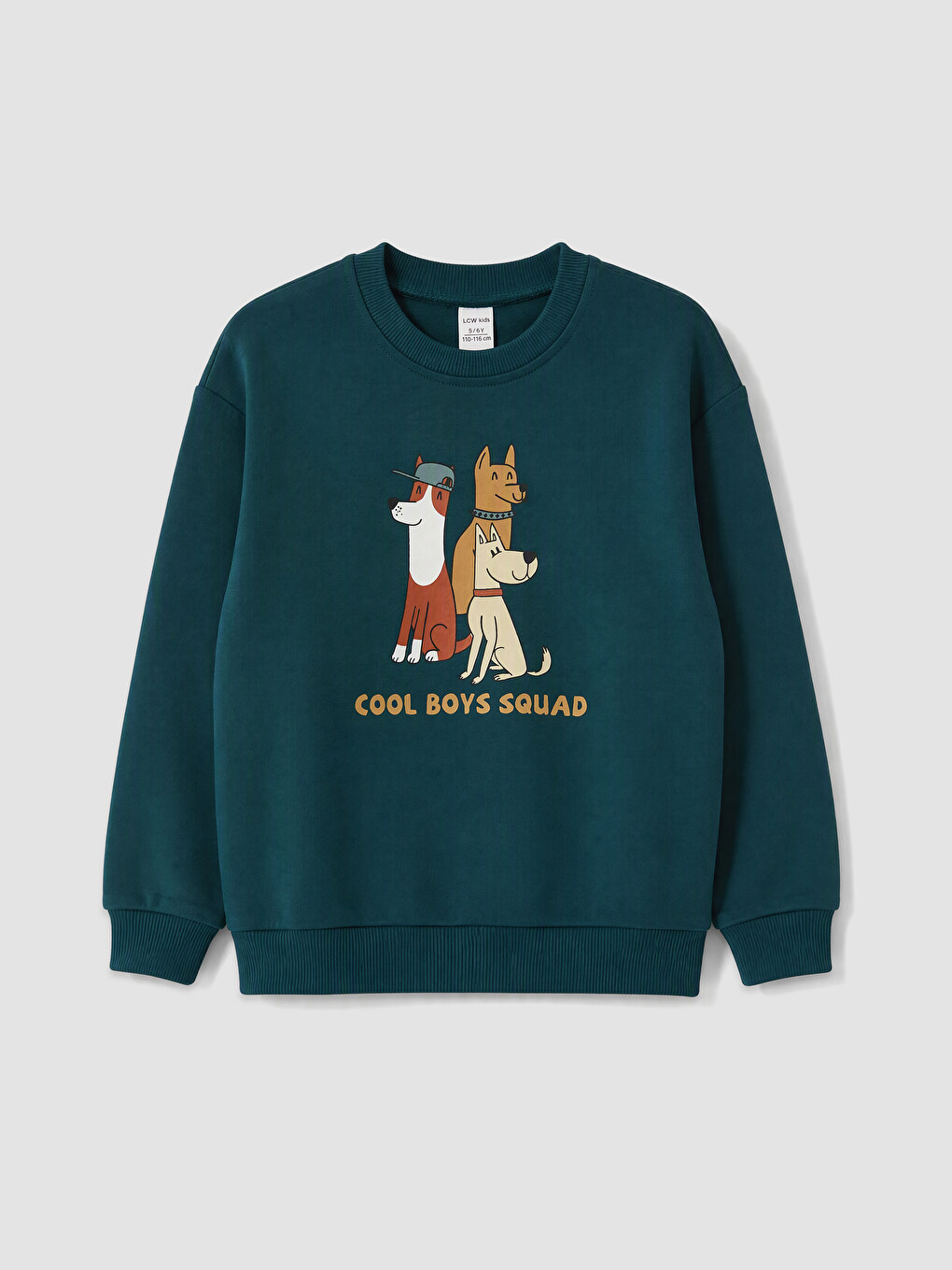 Petrol 2'li Baskılı Erkek Çocuk Kalın Sweatshirt-1