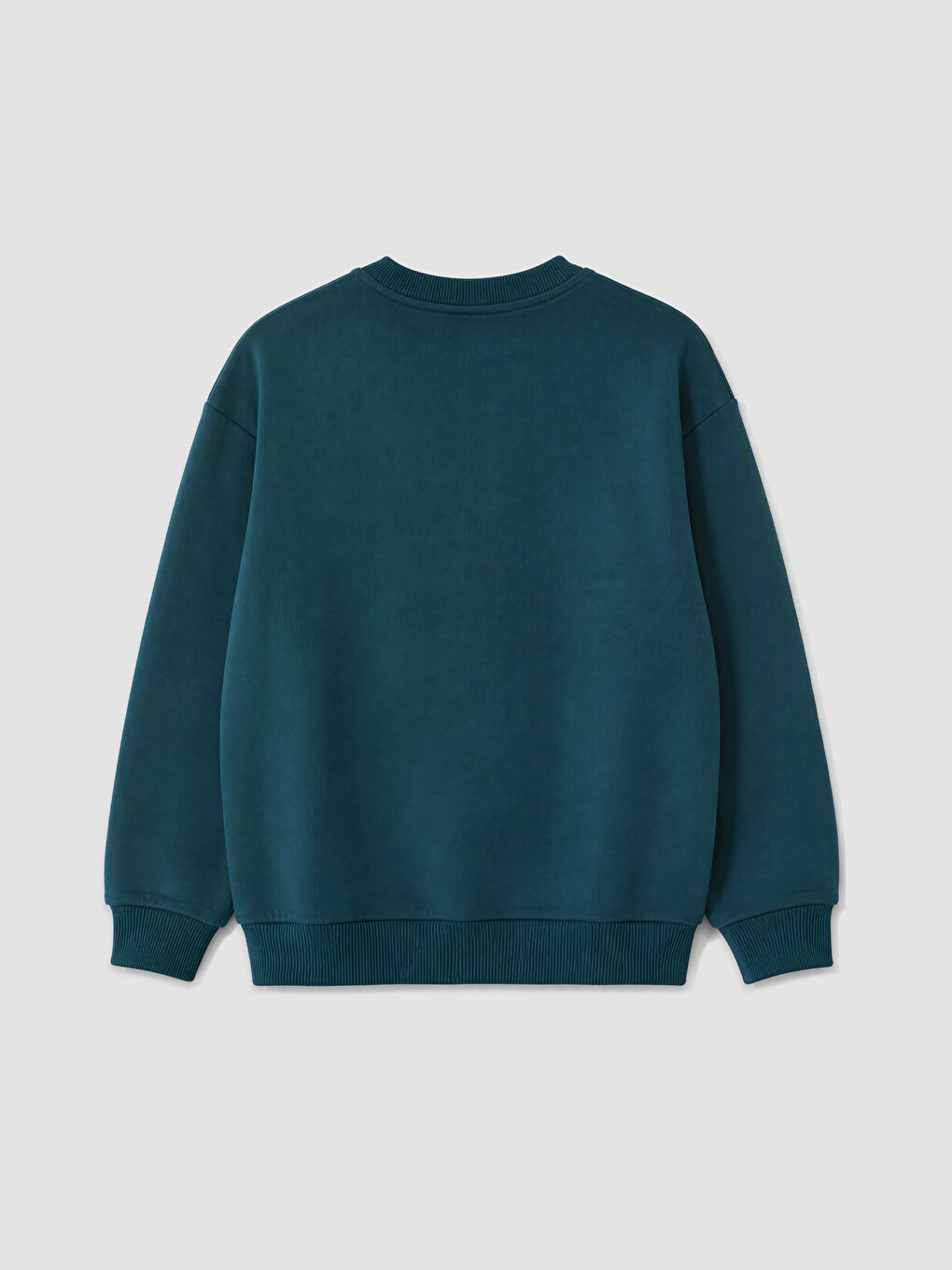 Petrol 2'li Baskılı Erkek Çocuk Kalın Sweatshirt-2