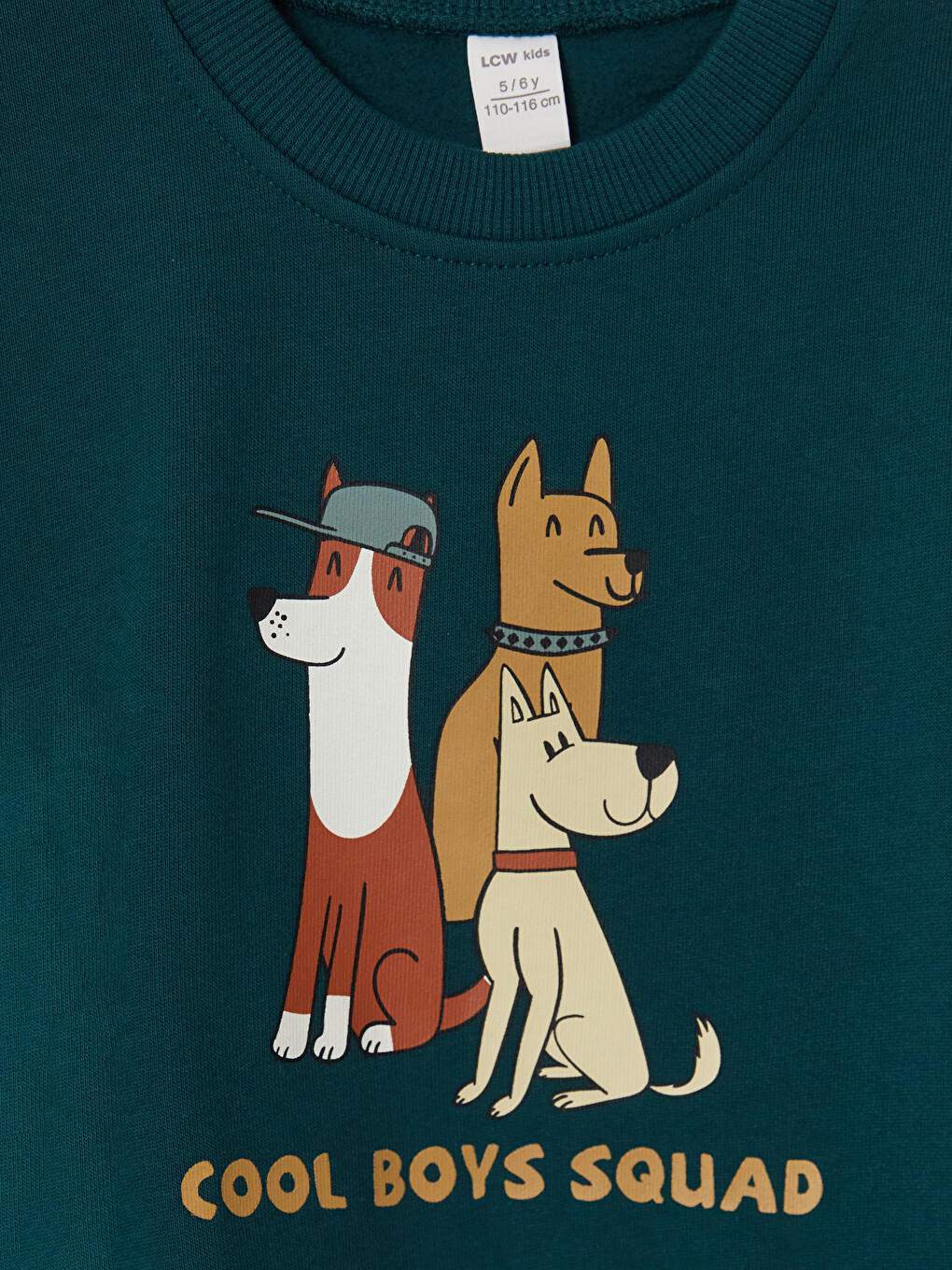 Petrol 2'li Baskılı Erkek Çocuk Kalın Sweatshirt-3