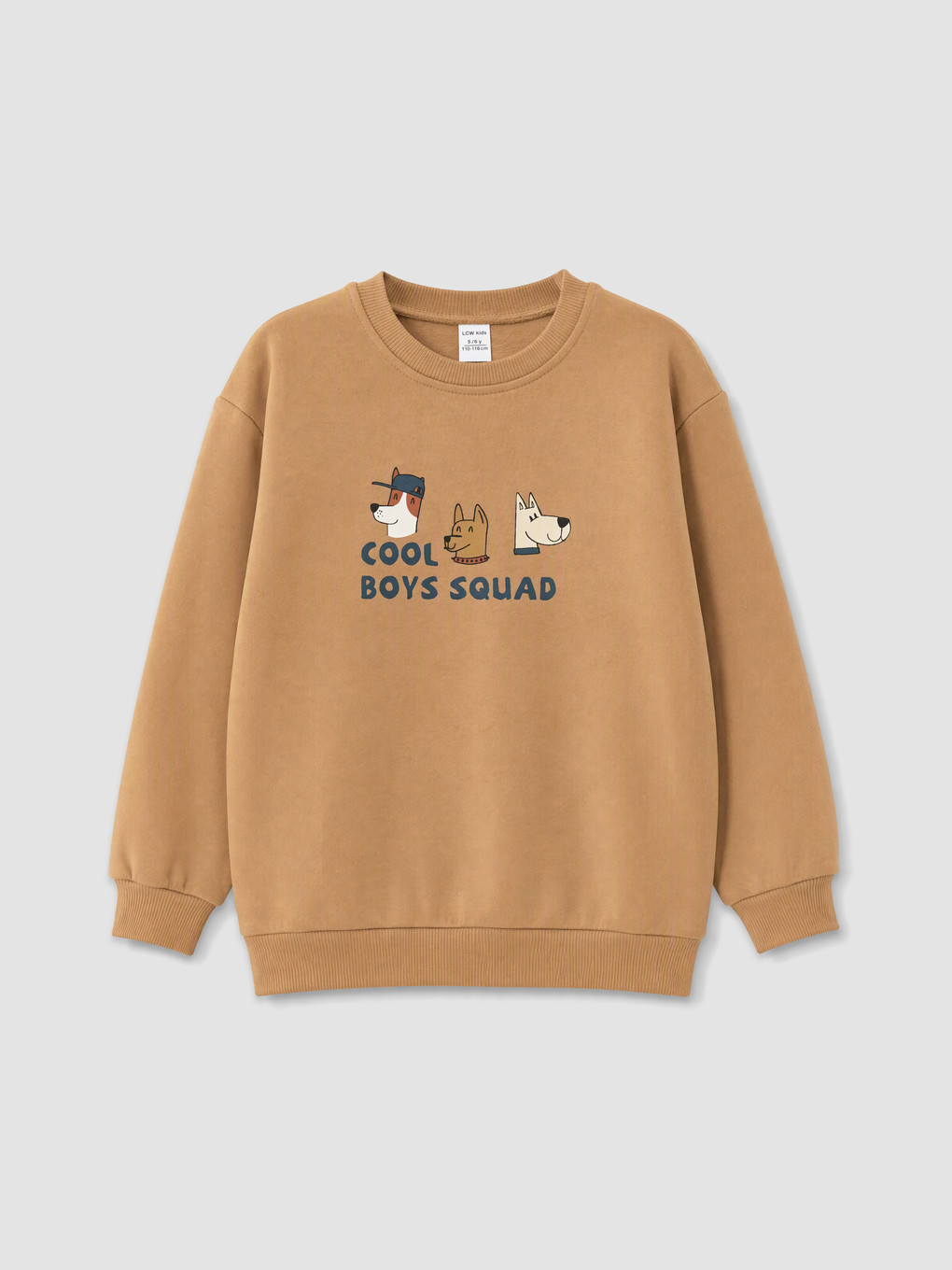 Petrol 2'li Baskılı Erkek Çocuk Kalın Sweatshirt-5
