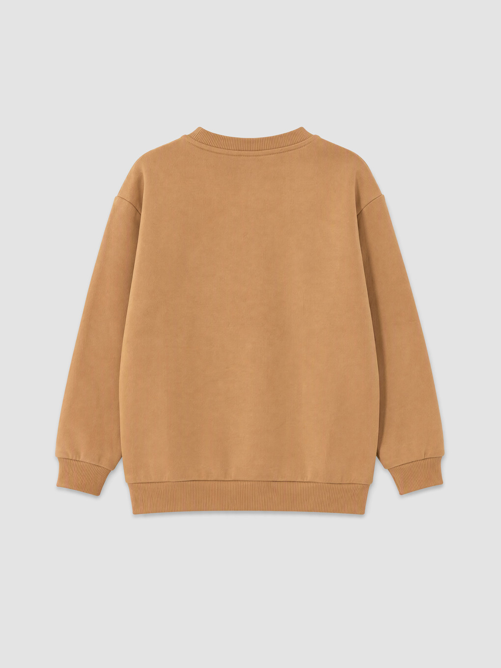 Petrol 2'li Baskılı Erkek Çocuk Kalın Sweatshirt-6