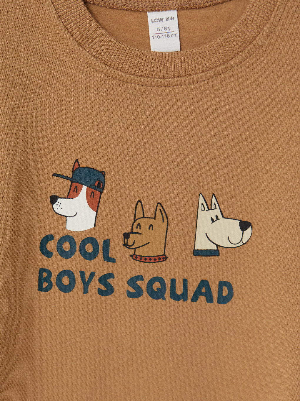 Petrol 2'li Baskılı Erkek Çocuk Kalın Sweatshirt-7