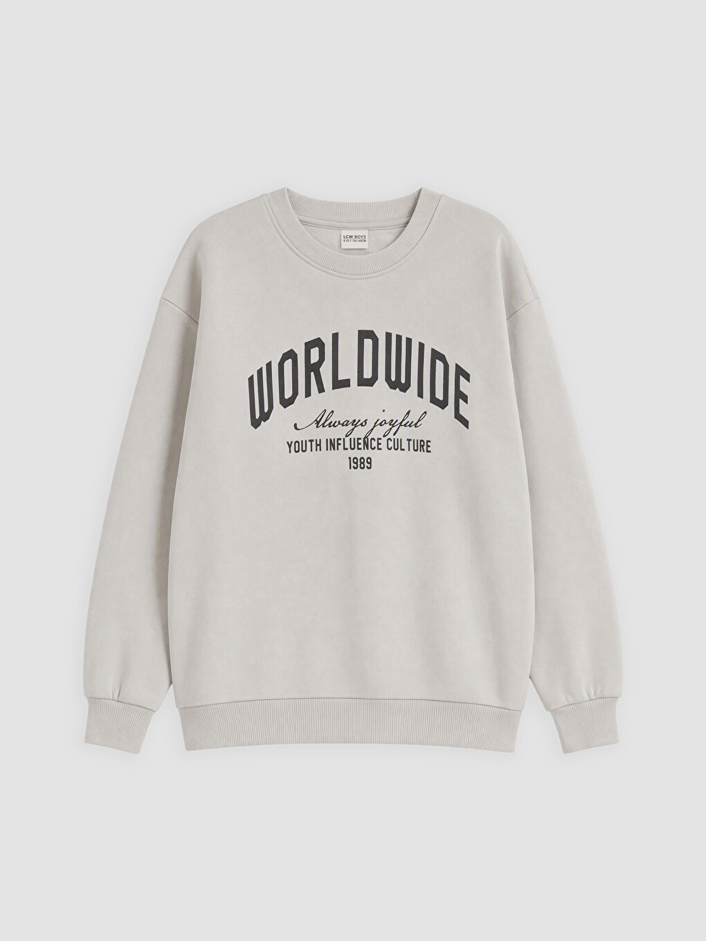Printed Boys' Thick Sweatshirt