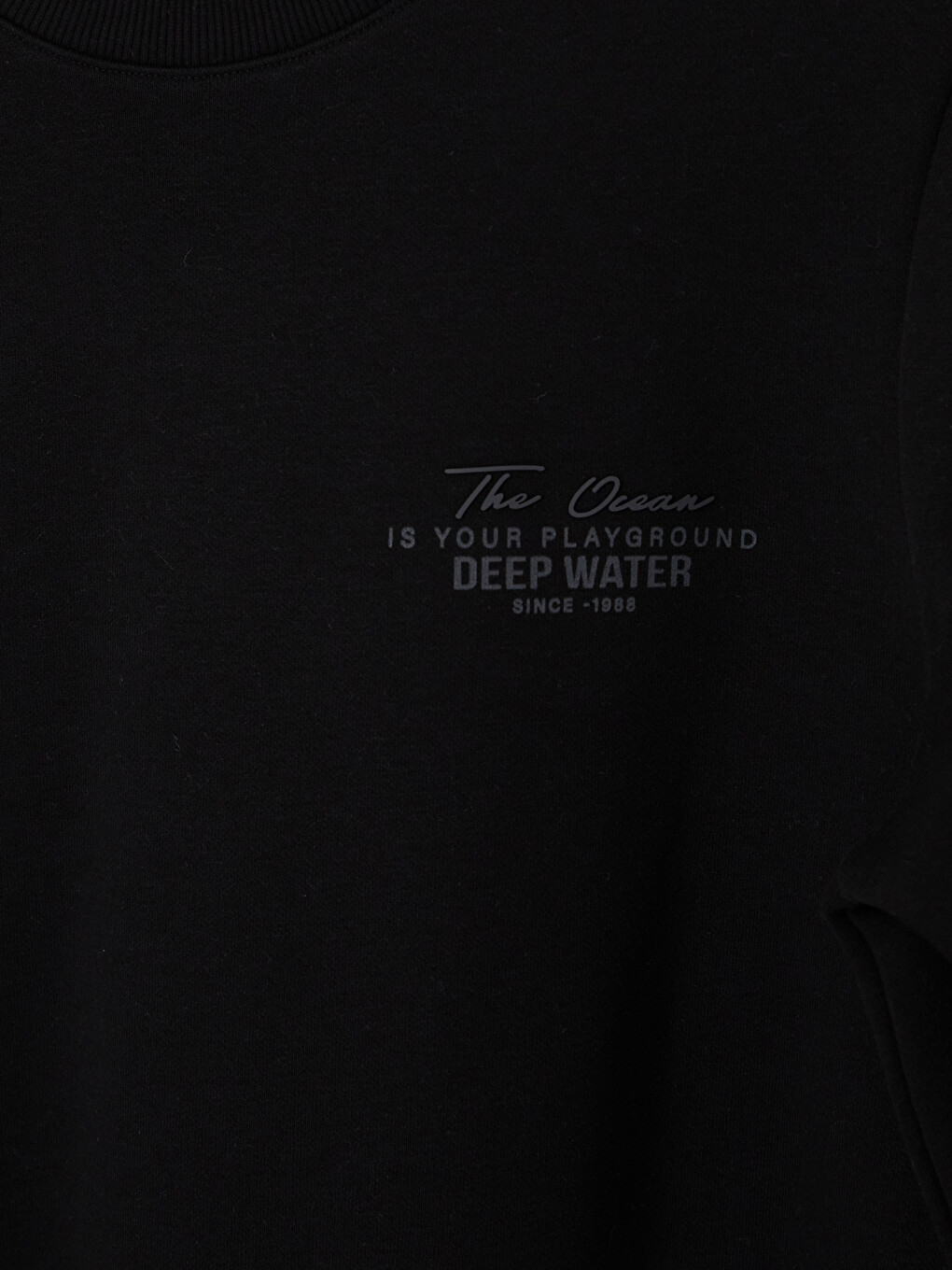 Siyah Bisiklet Yaka Baskılı Erkek Kalın Sweatshirt-2