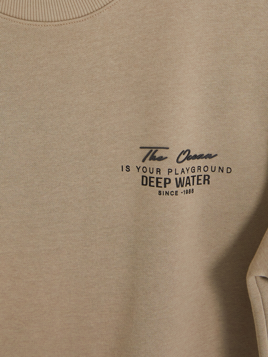 Bej Bisiklet Yaka Baskılı Erkek Kalın Sweatshirt-2