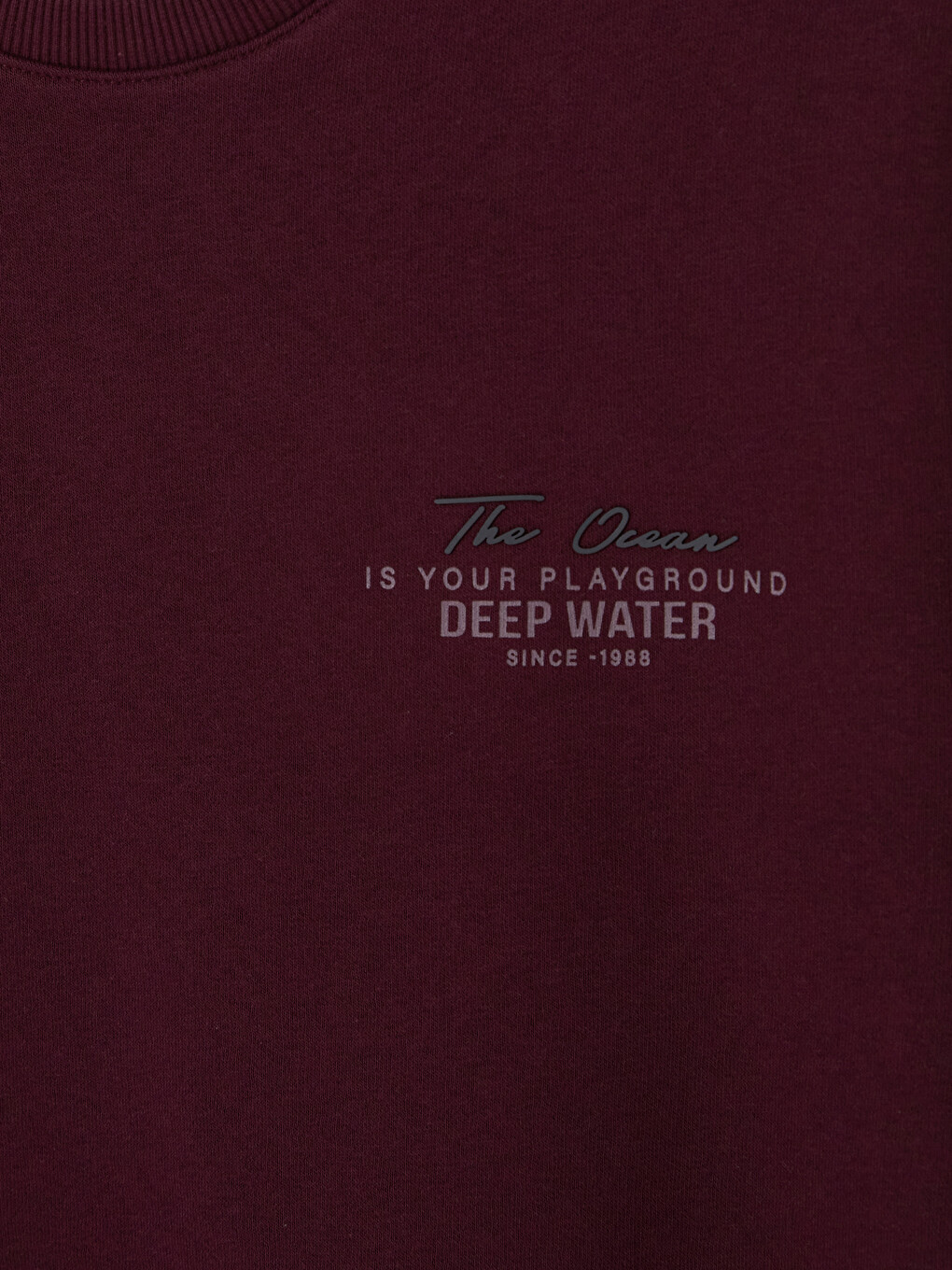 Bordo Bisiklet Yaka Baskılı Erkek Kalın Sweatshirt-2