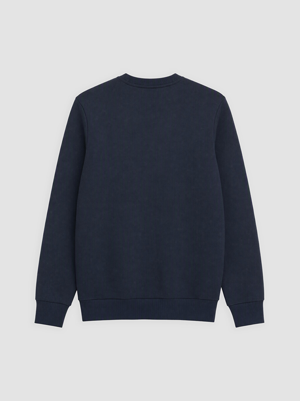 Crew Neck Printed Men's Thick Sweatshirt-1
