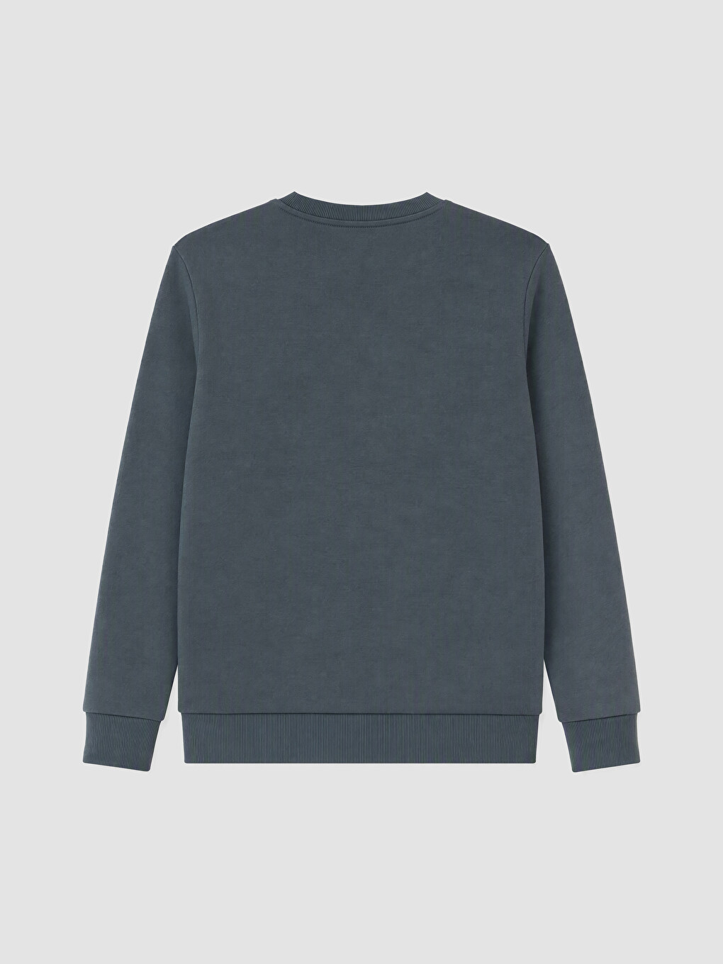 Crew Neck Printed Men's Thick Sweatshirt-2