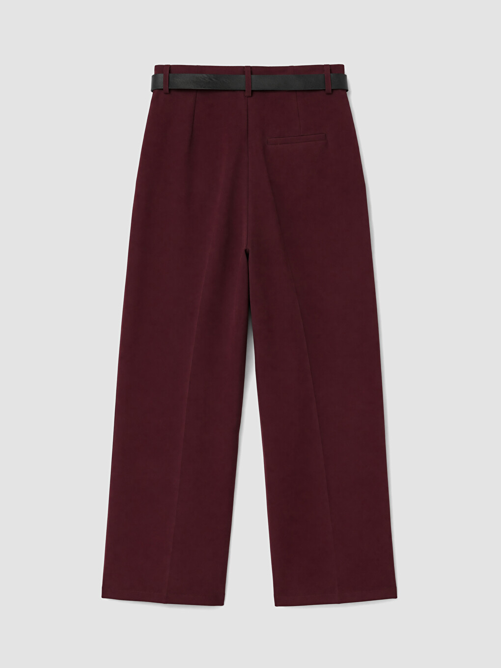 Loose Fit Belted Women's Pleated Fabric Trousers-6