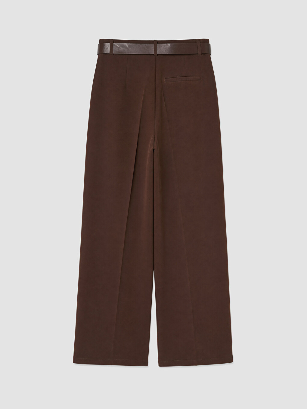 Loose Fit Belted Women's Pleated Fabric Trousers-6