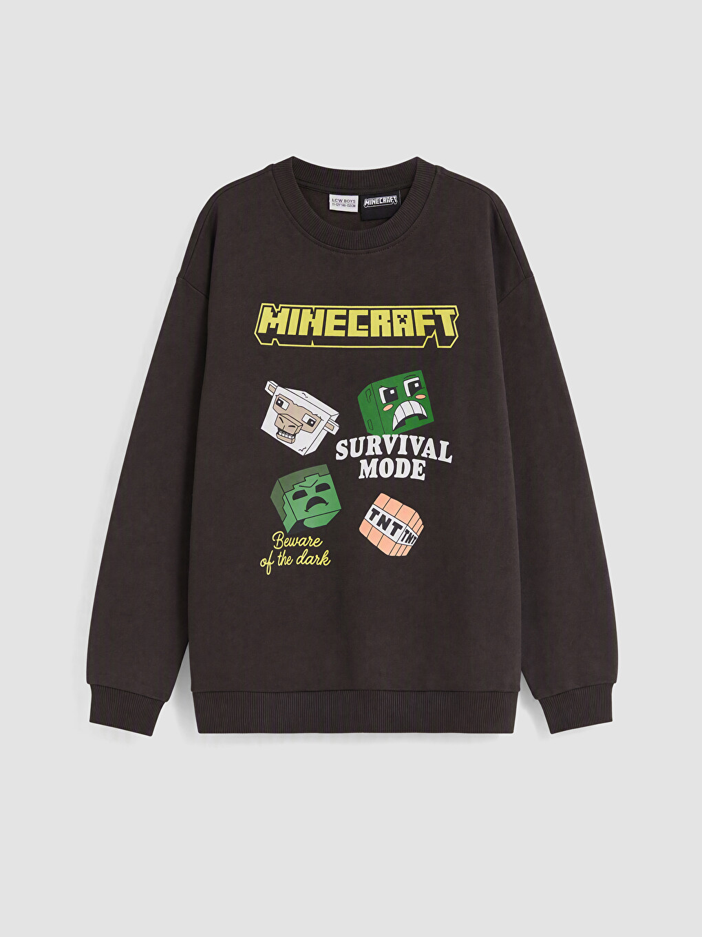 Minecraft Printed Boys' Tracksuit Set-1