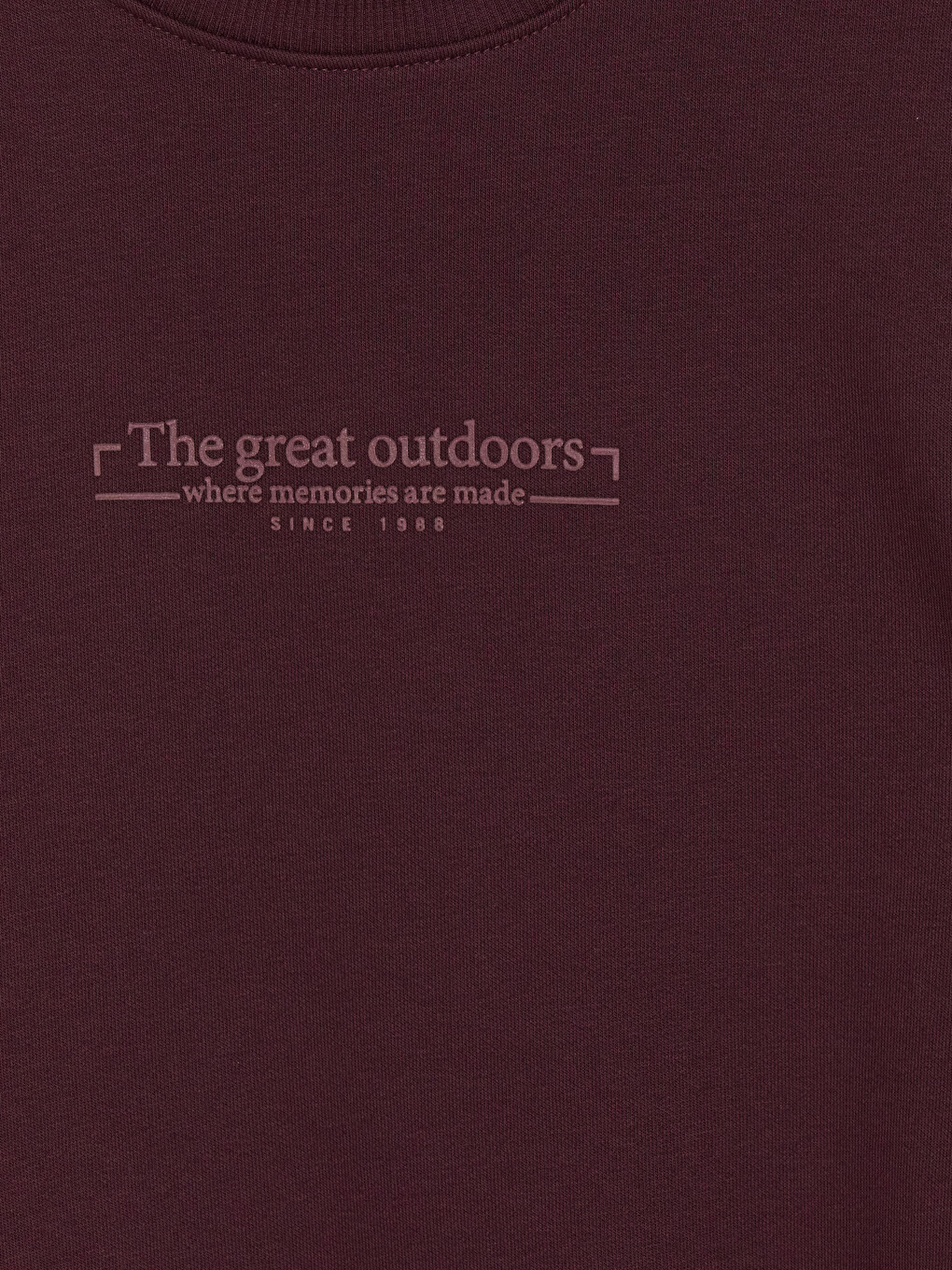 Crew Neck Printed Men's Sweatshirt-1