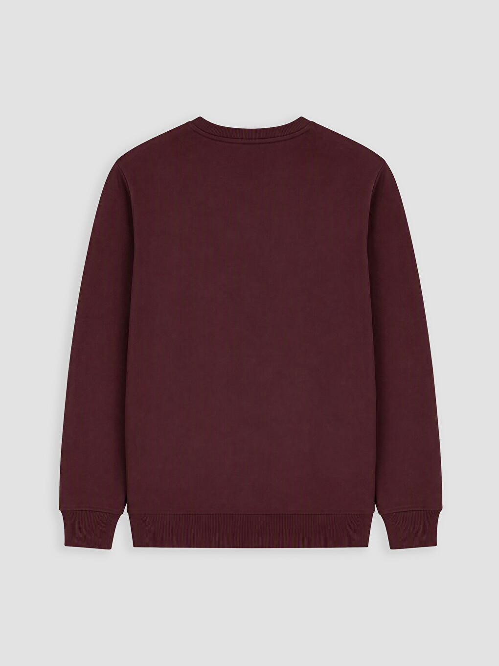 Crew Neck Printed Men's Sweatshirt-2