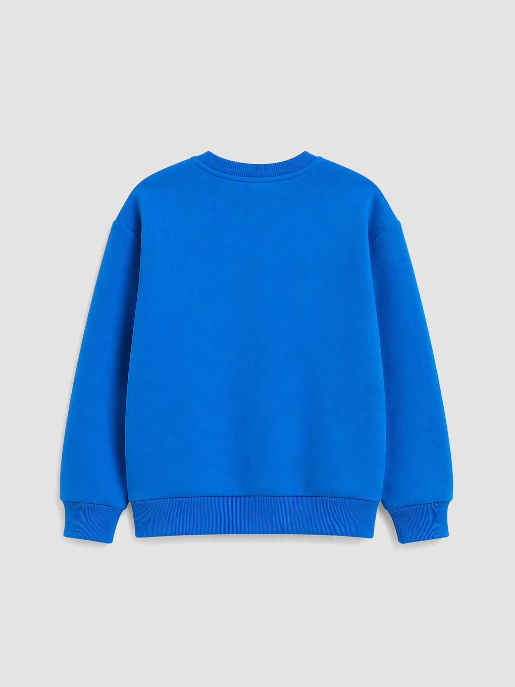 Mavi Baskılı Erkek Çocuk Sweatshirt-2