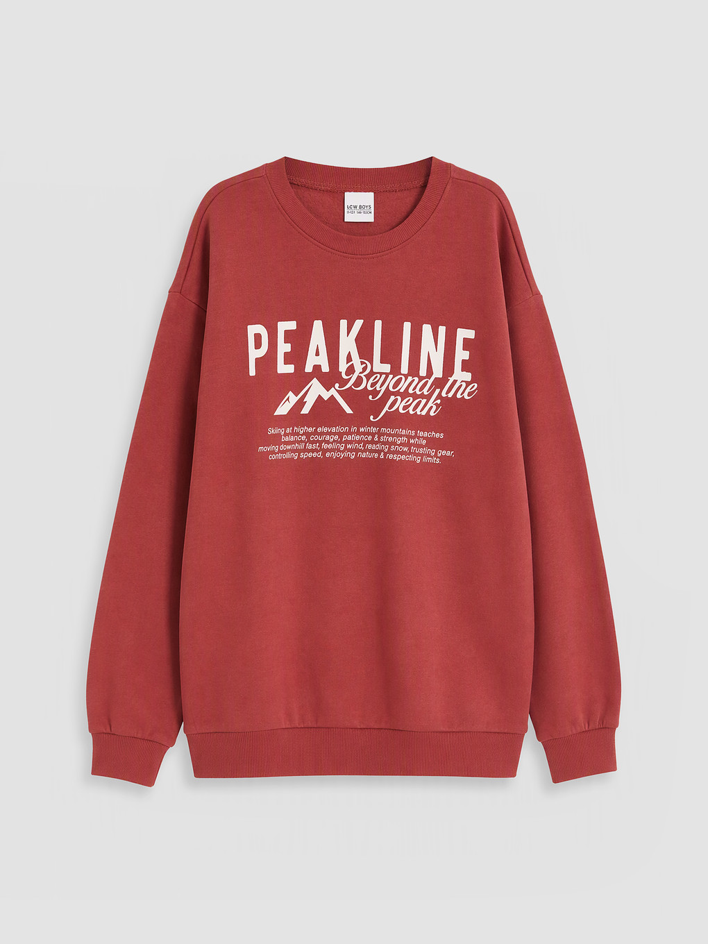 Printed Boys' Thick Sweatshirt