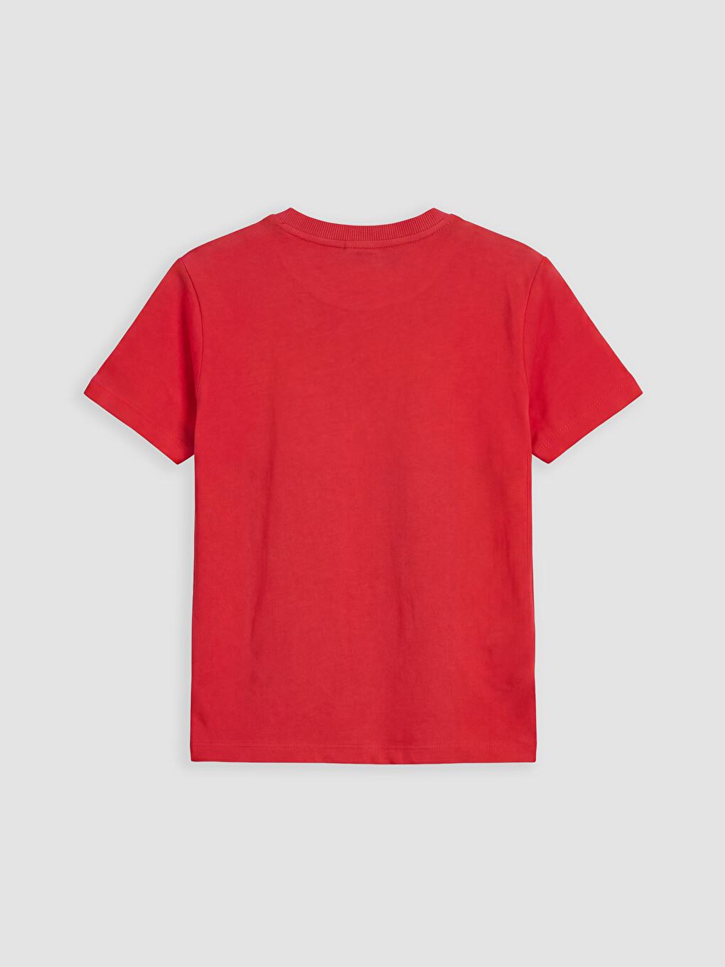 Crew Neck Printed Boys' T-shirt-2