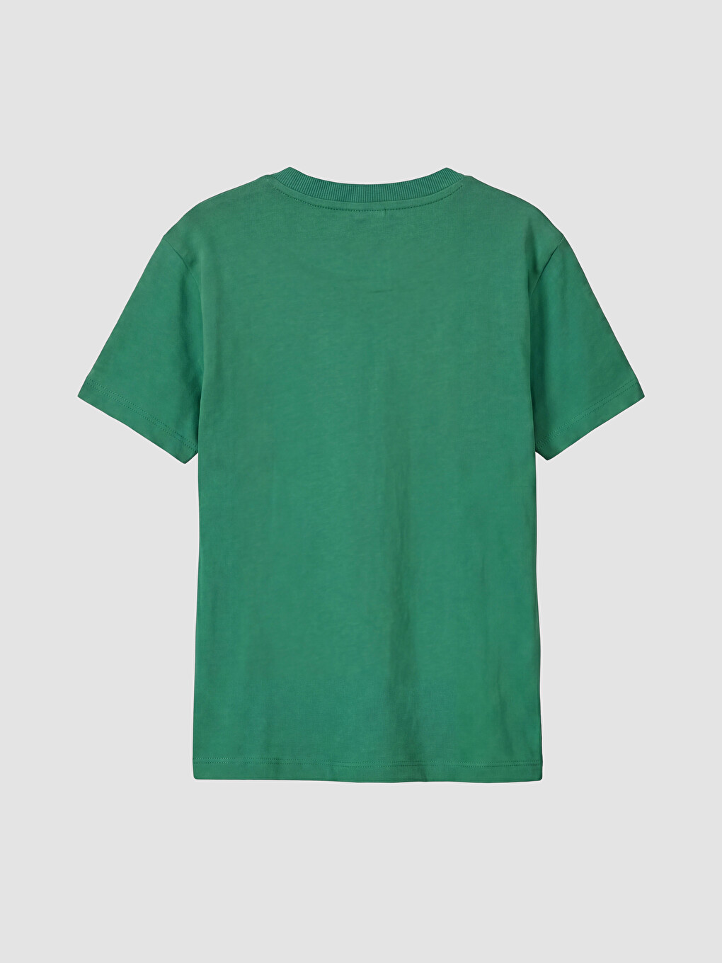 Crew Neck Printed Boys' T-shirt-2