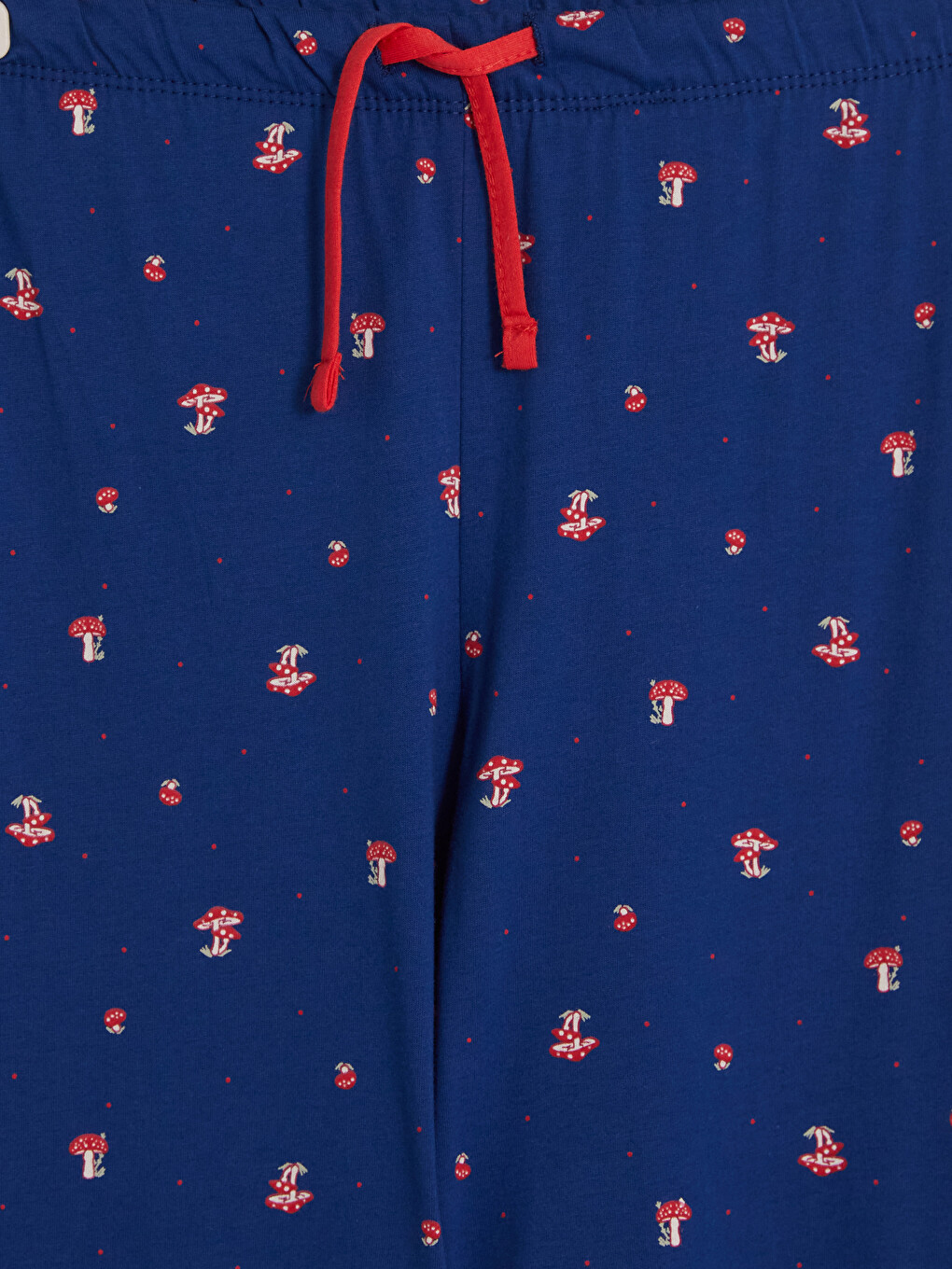 Mavi Gömlek Yaka Desenli Hamile Pijama Takım-6
