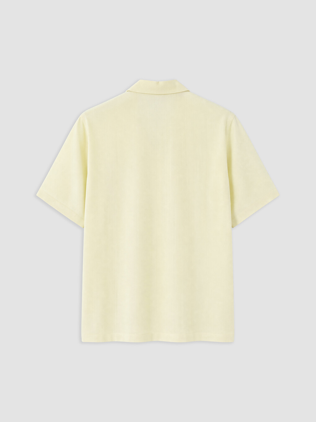Regular Fit Dobby Men's Shirt-5