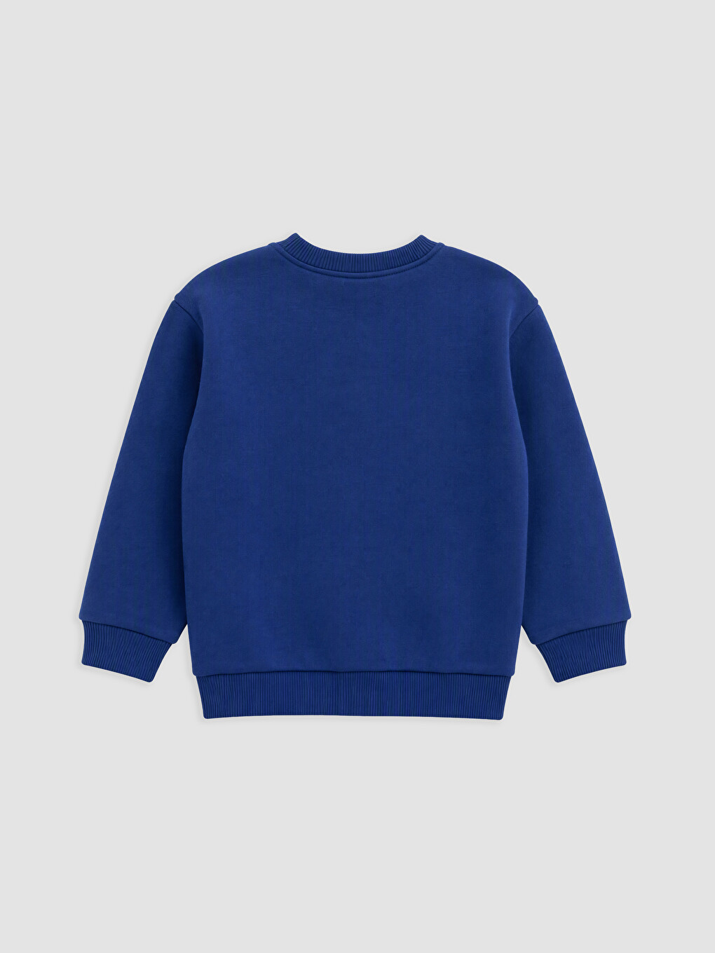 Sonic Printed Boys' Sweatshirt-1