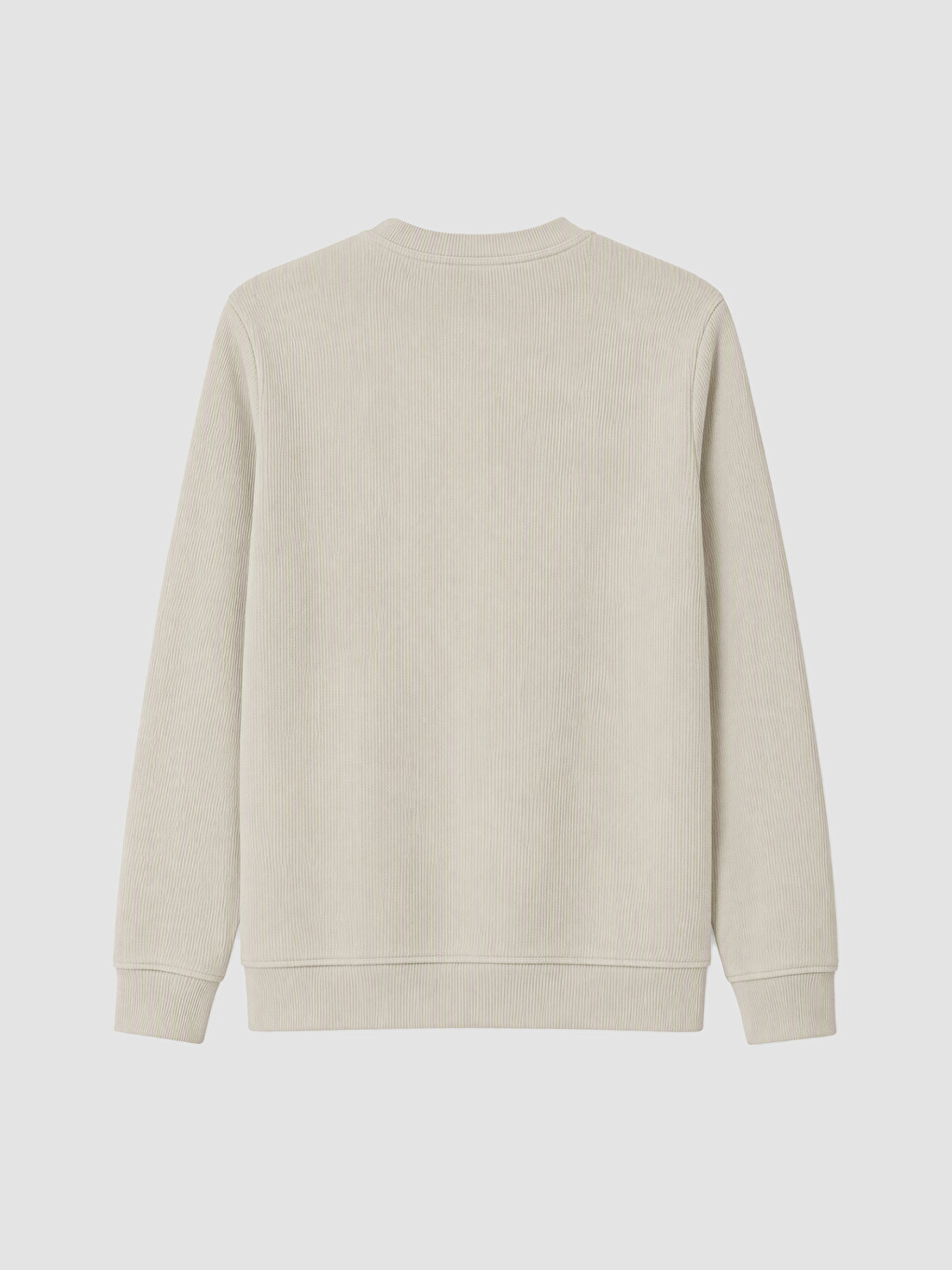 Crew Neck Printed Men's Sweatshirt-2