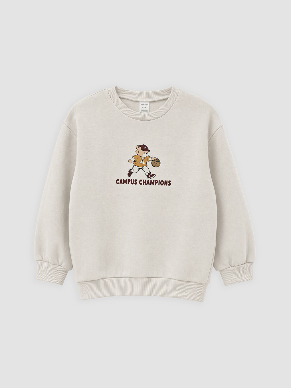 Printed Boys' Sweatshirt-2