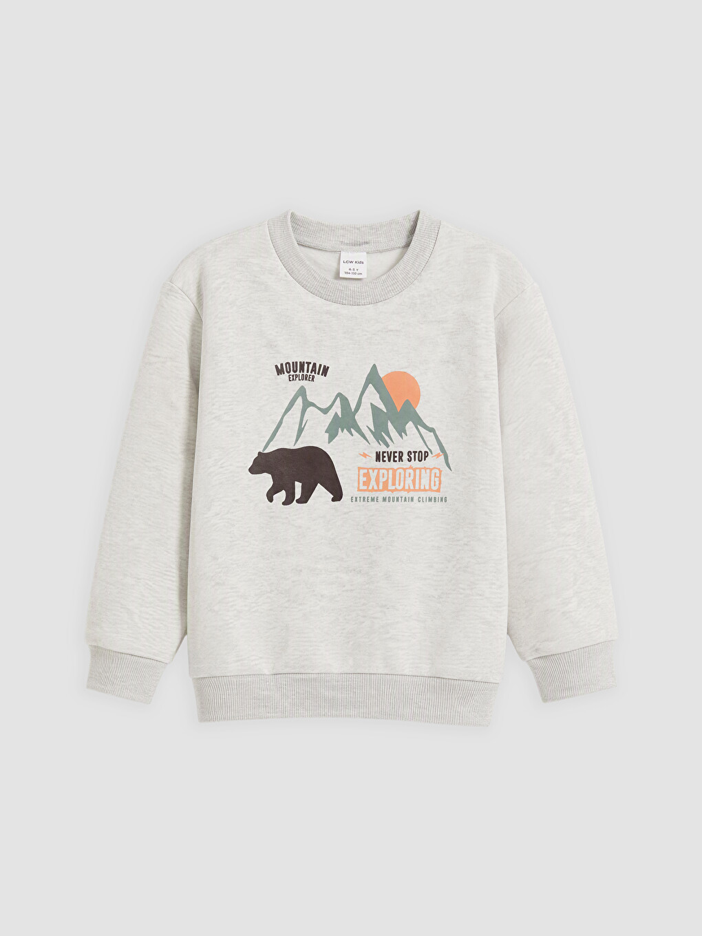 Boy Brown Sweatshirt-2