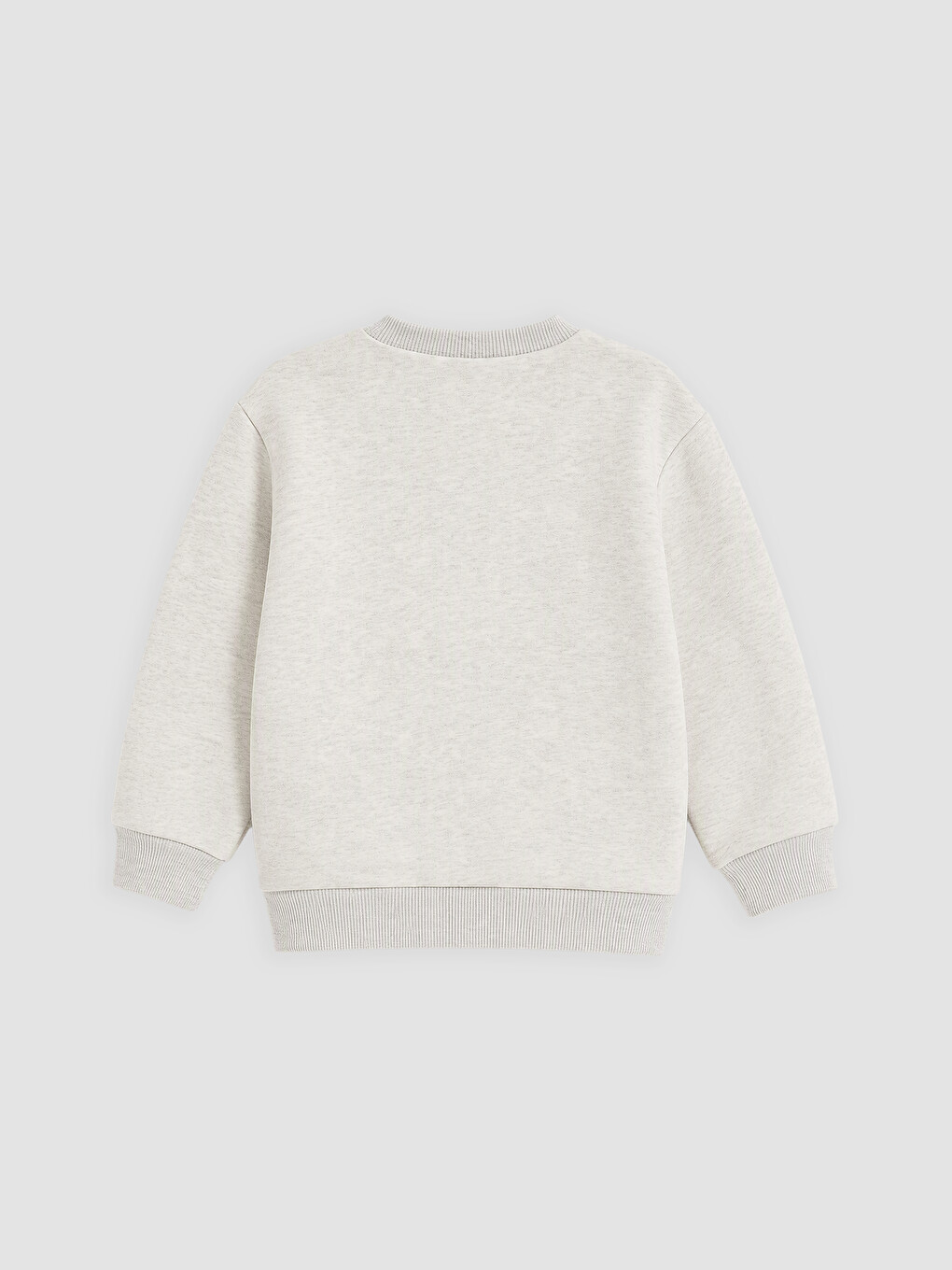 Boy Brown Sweatshirt-4