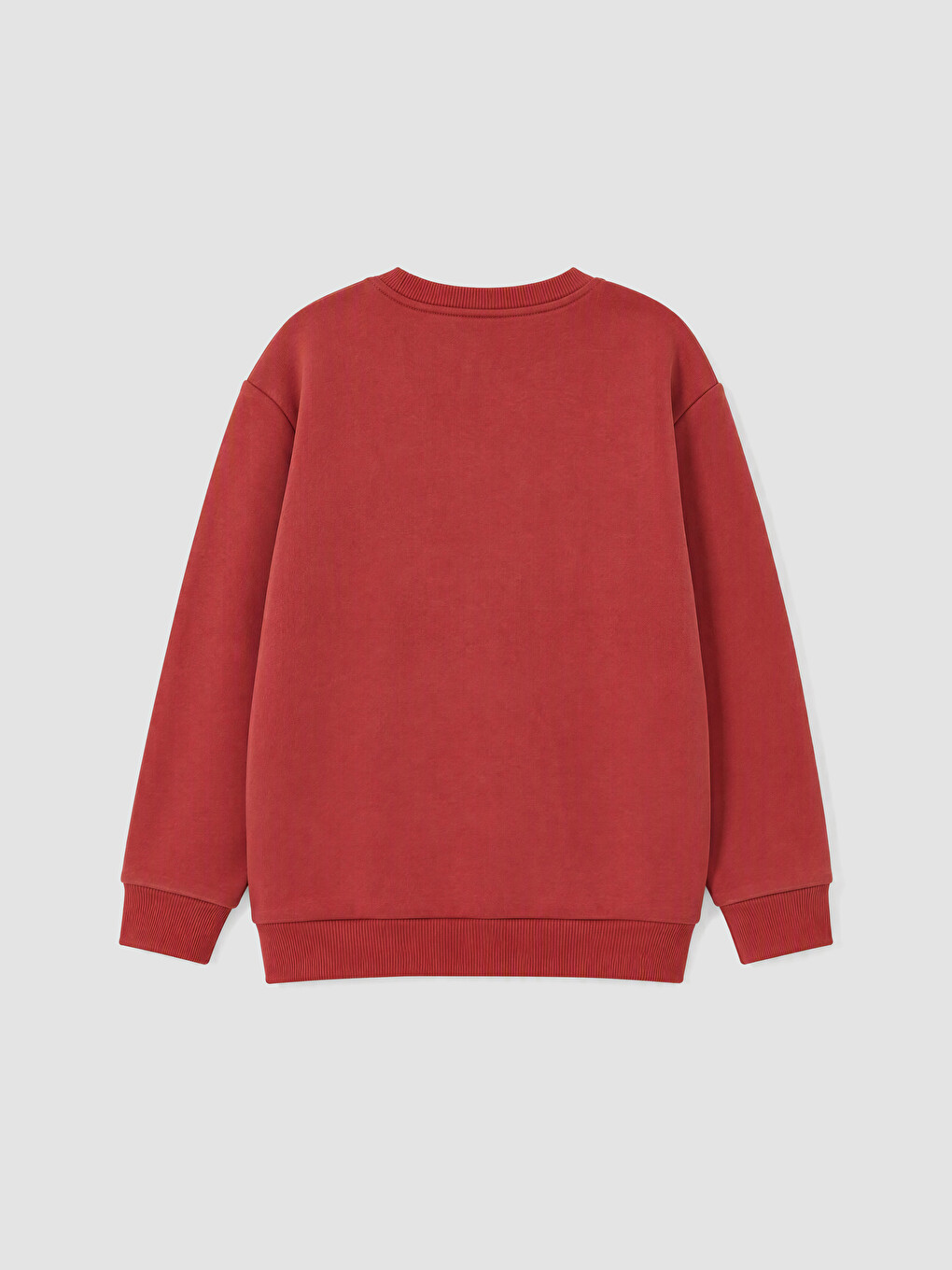 Printed Boys' Thick Sweatshirt-3