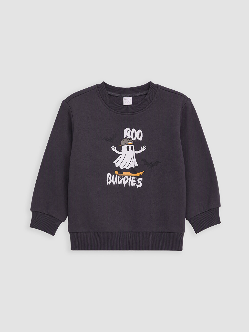 Printed Boys' Thick Sweatshirt