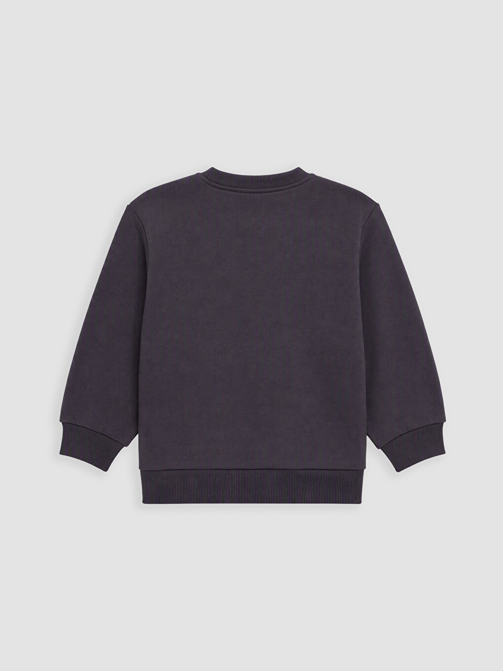 Printed Boys' Thick Sweatshirt-2