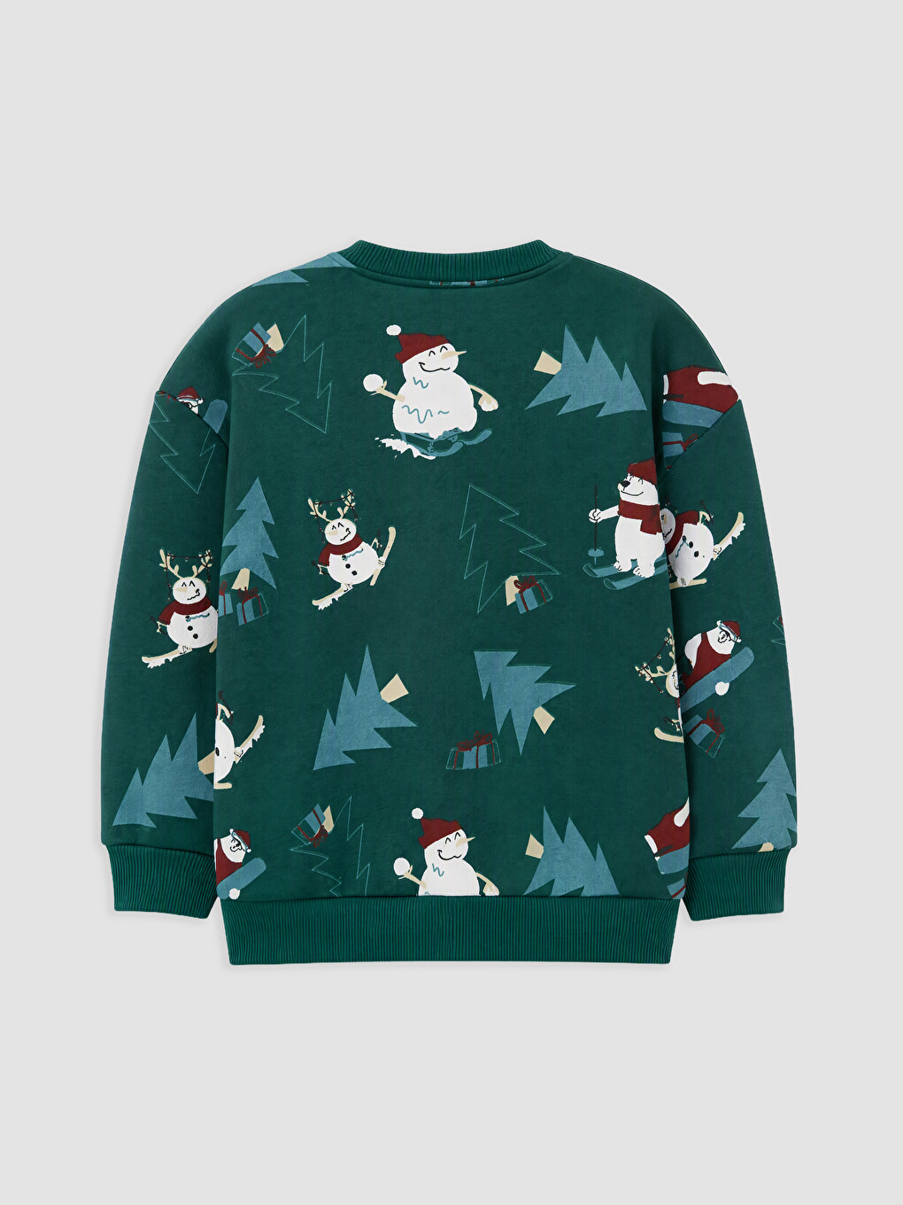 Crew Neck Printed Boys' Thick Sweatshirt-2
