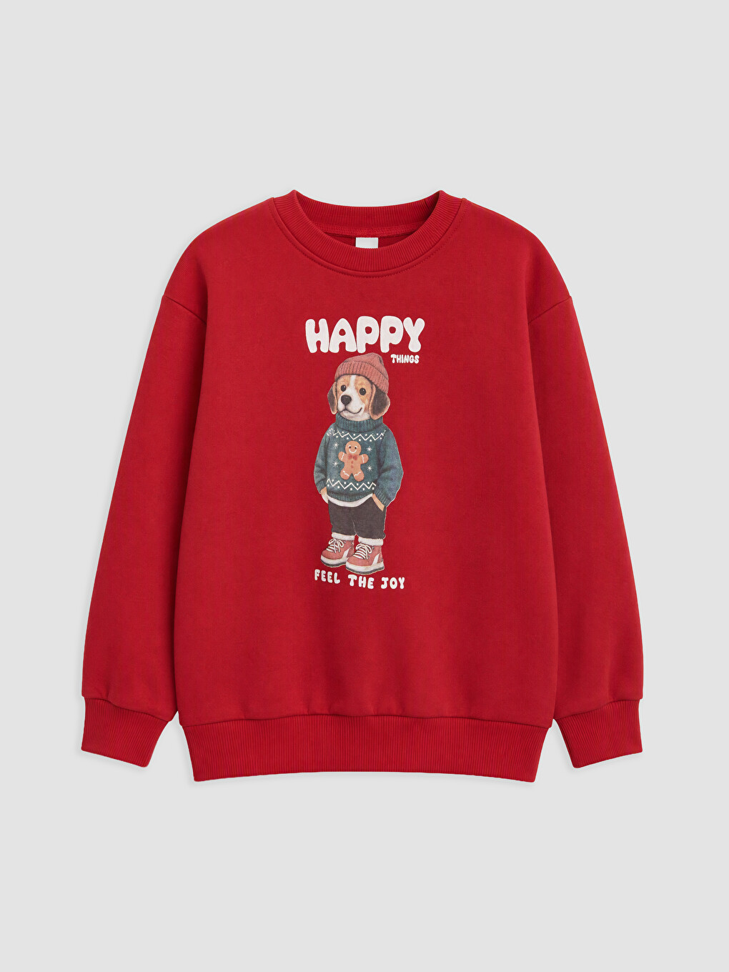Printed Boys' Thick Sweatshirt