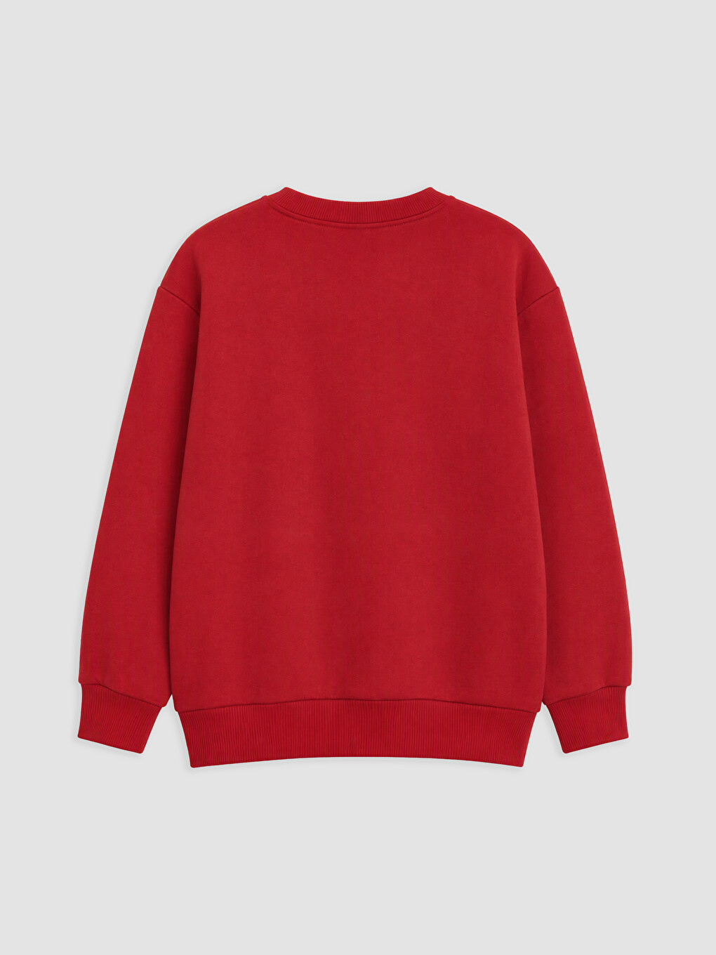 Printed Boys' Thick Sweatshirt-1