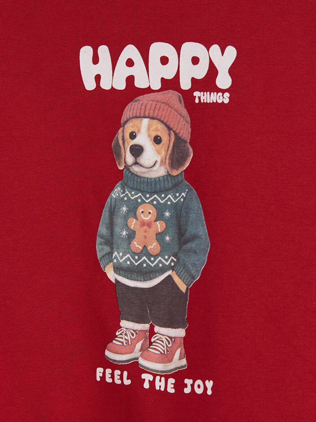 Printed Boys' Thick Sweatshirt-2