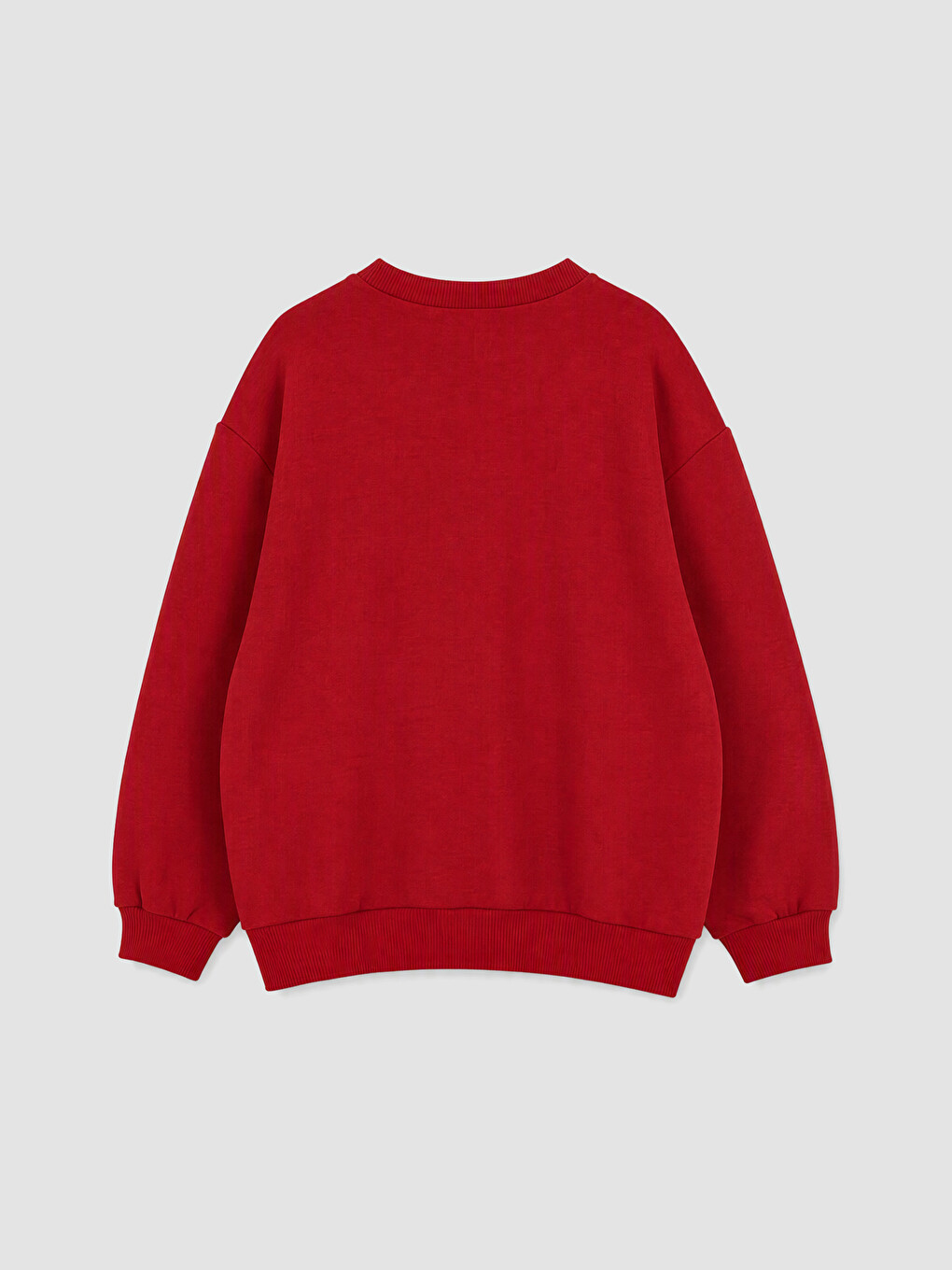 Printed Boys' Thick Sweatshirt-3