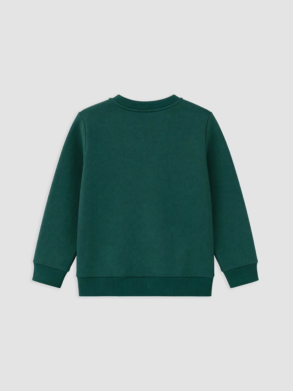 Printed Thick Boys' Sweatshirt-1
