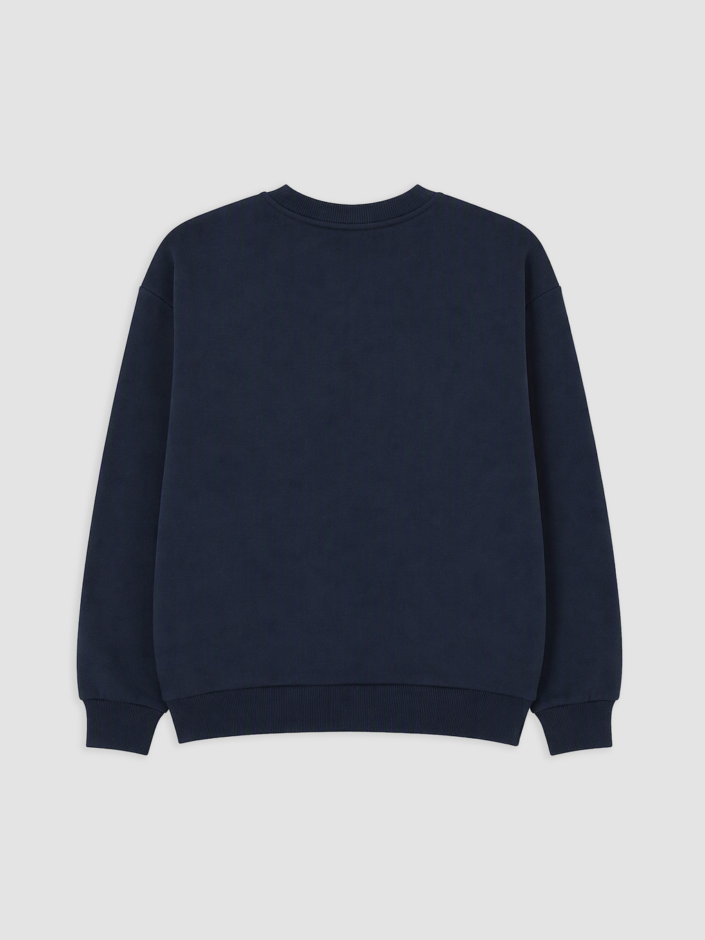 2 Pack Printed Boys' Thick Sweatshirt-4