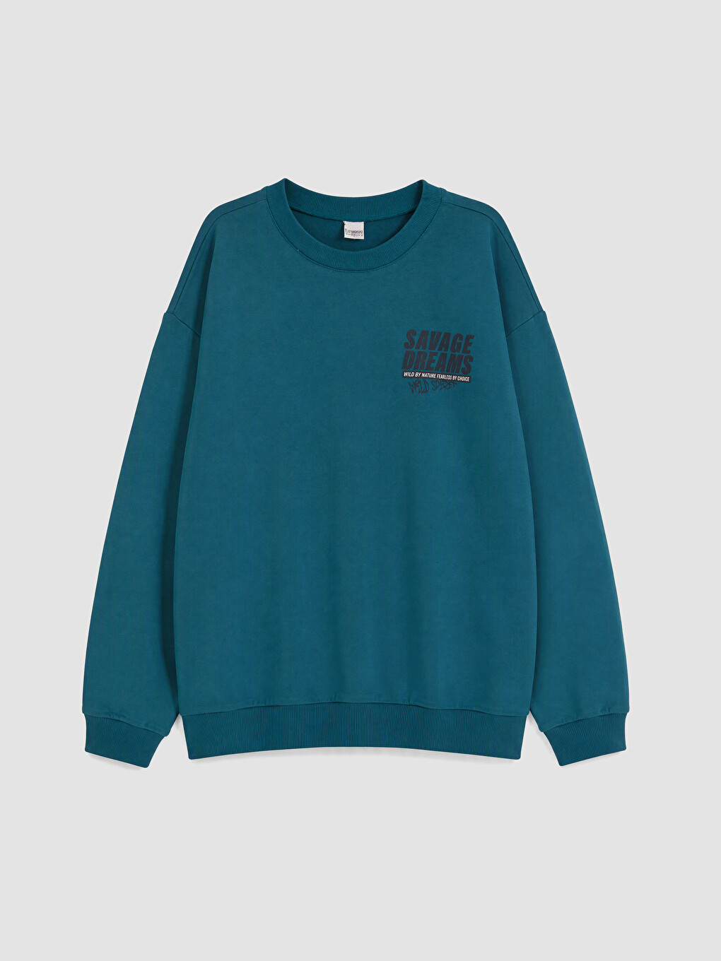 Printed Boys' Thick Sweatshirt