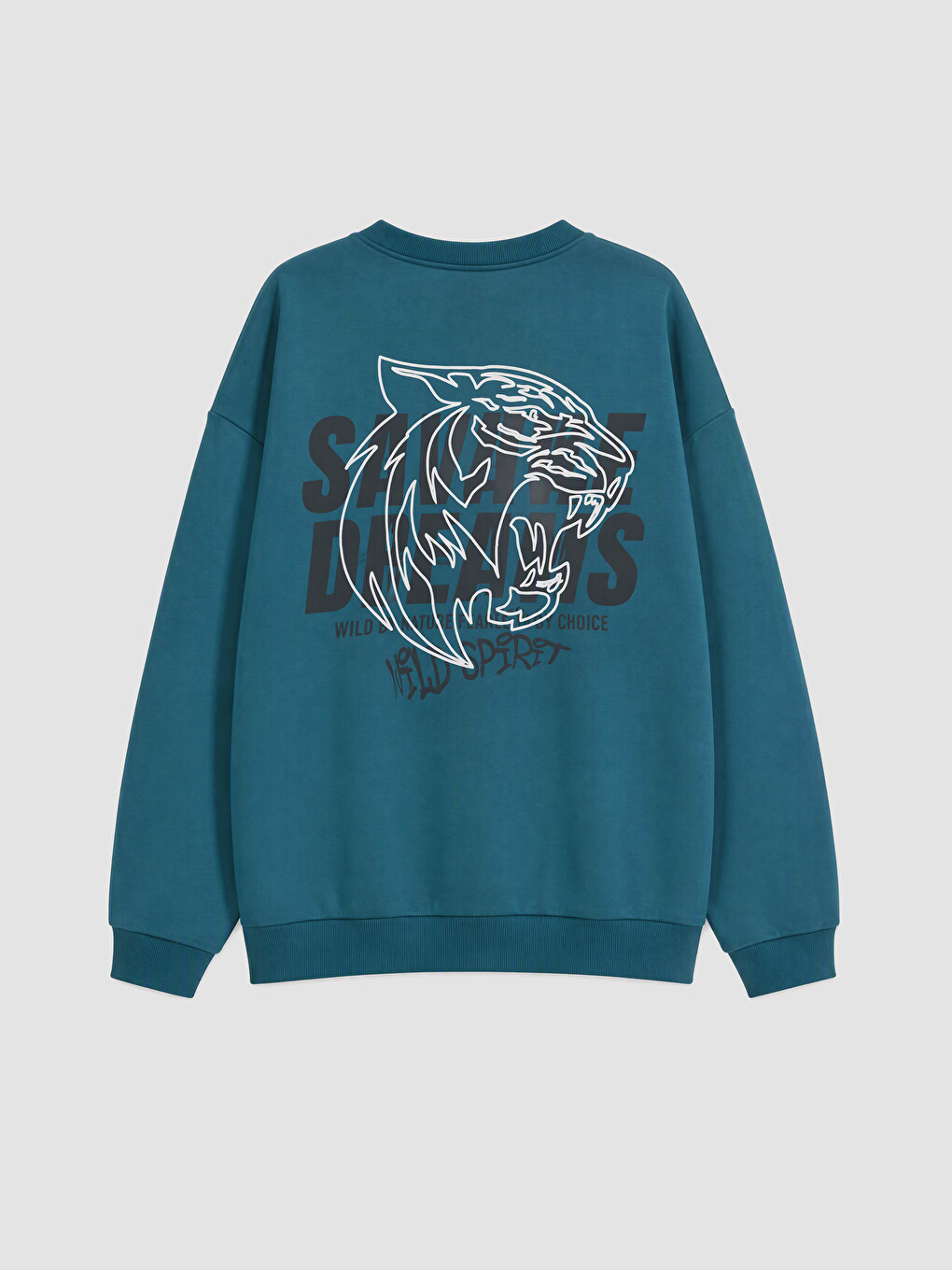 Printed Boys' Thick Sweatshirt-1