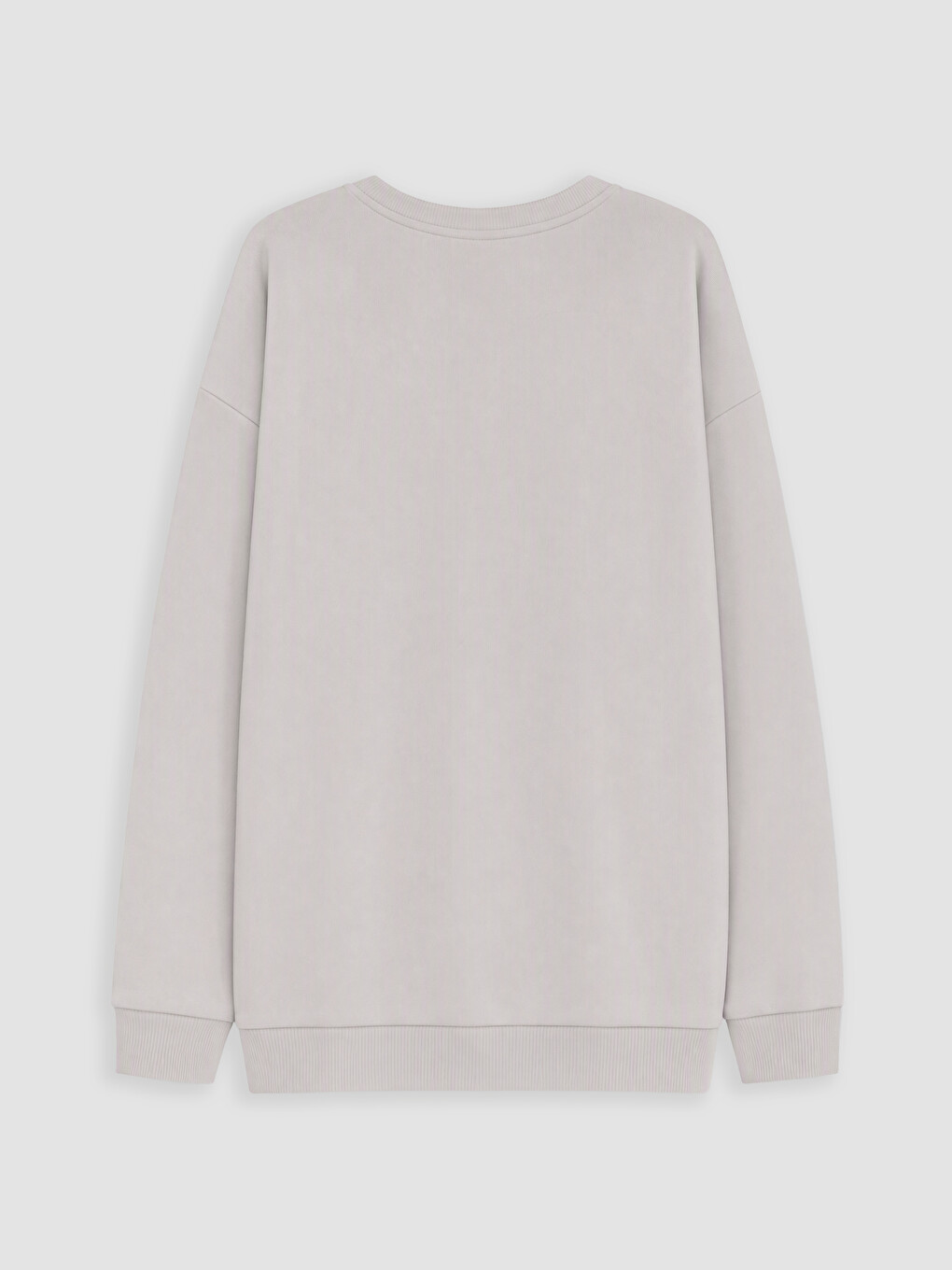Crew Neck Printed Boys' Thick Sweatshirt-2