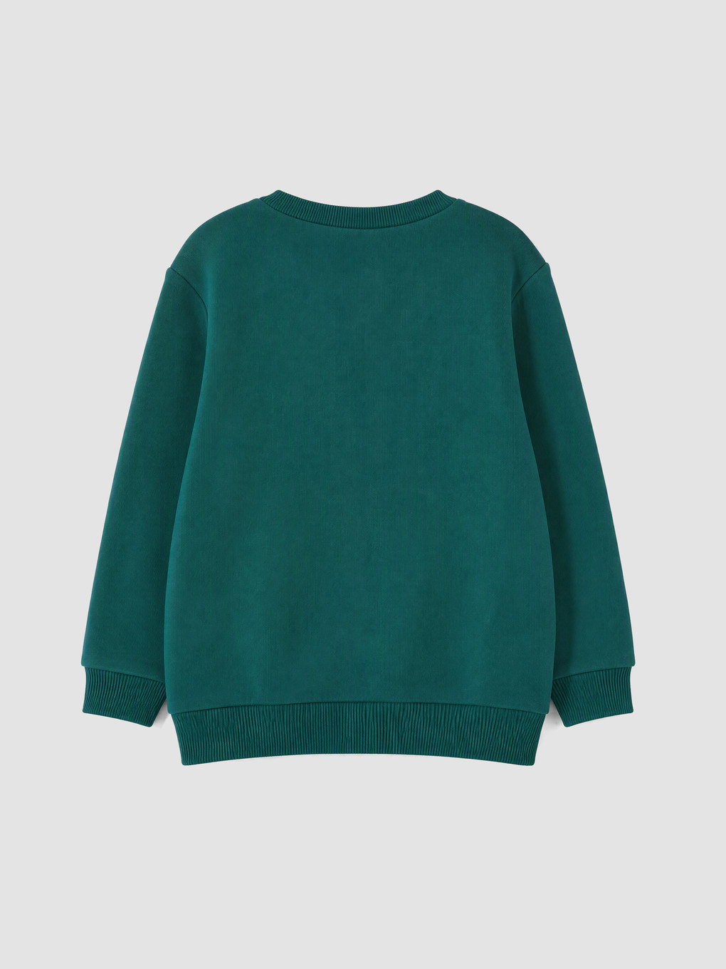 Boy Green Sweatshirt-7
