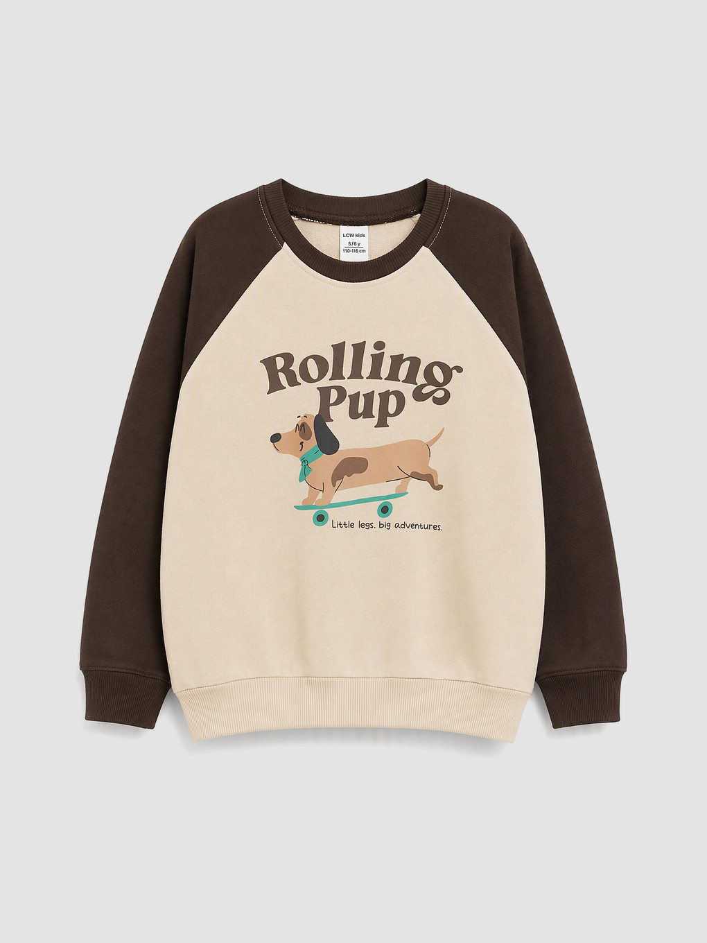 Gri 2'li Baskılı Erkek Çocuk Kalın Sweatshirt-1
