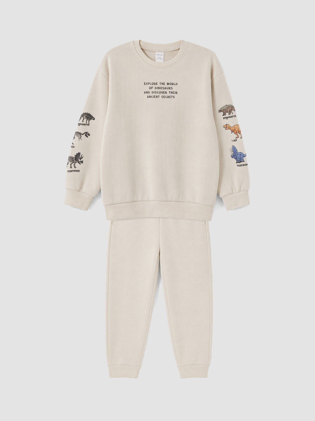 Dinosaur Printed Boys' Set